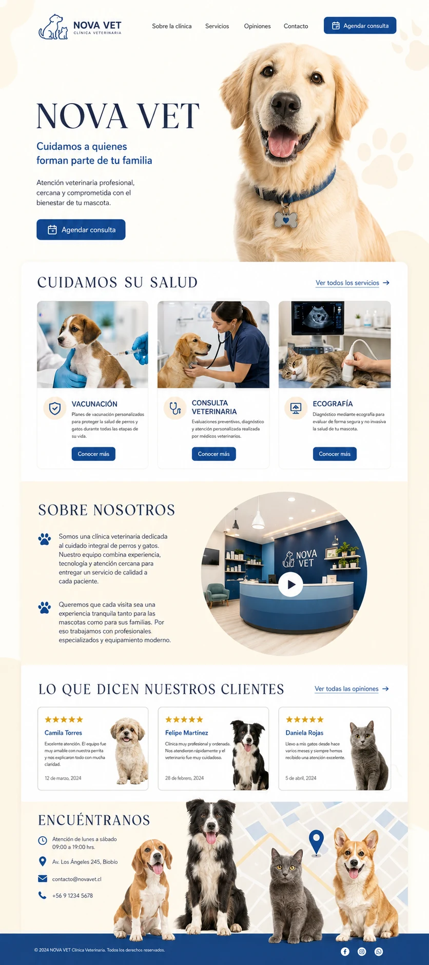 Proyecto web 10