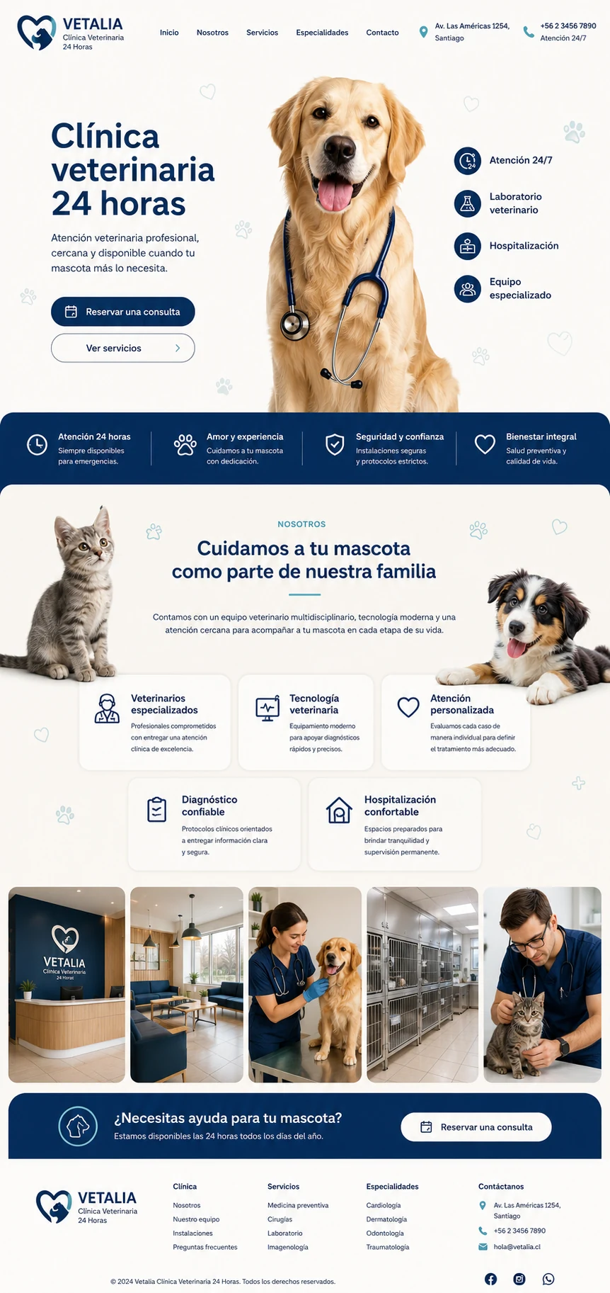 Proyecto web 11