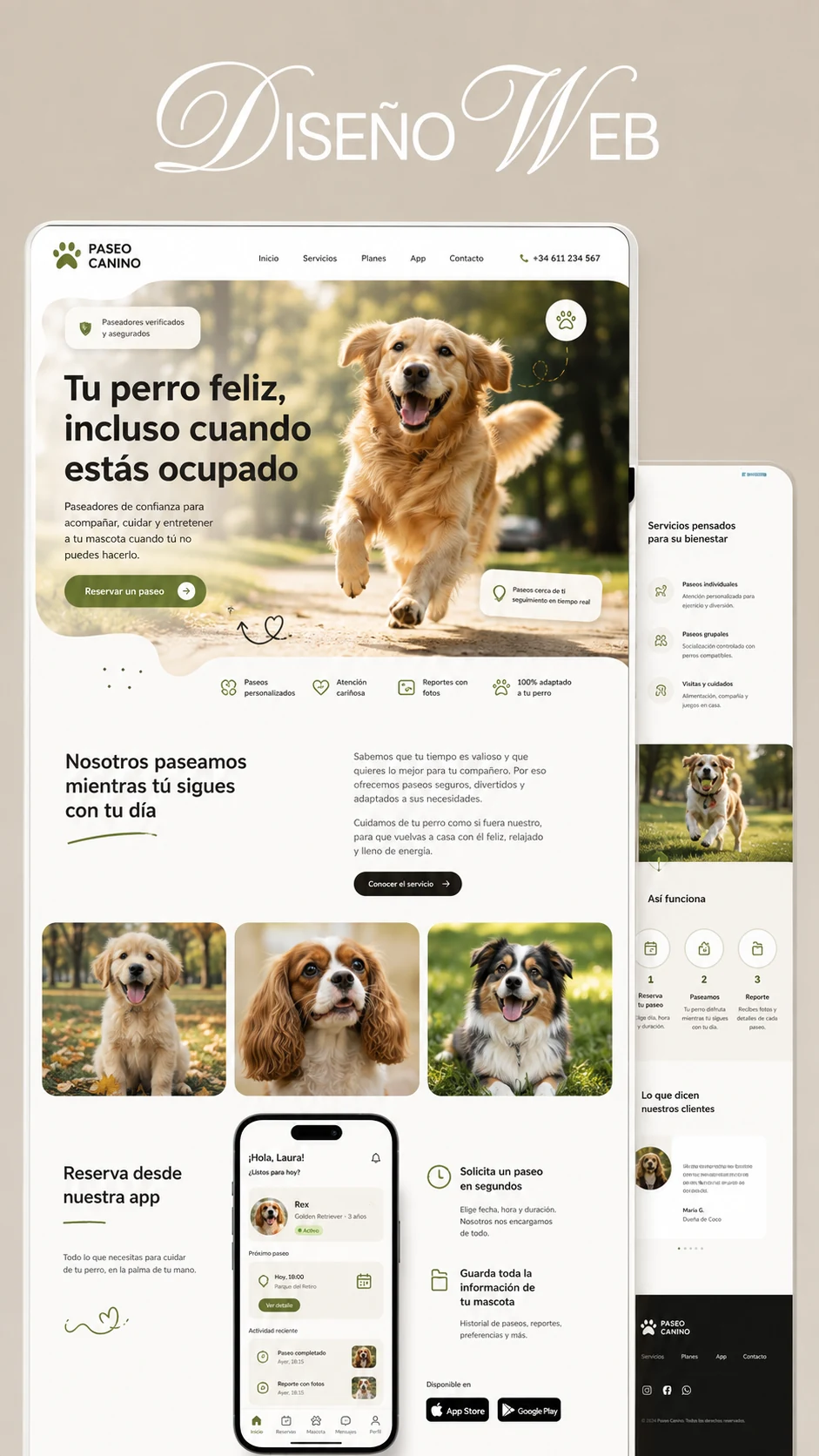 Proyecto web 12